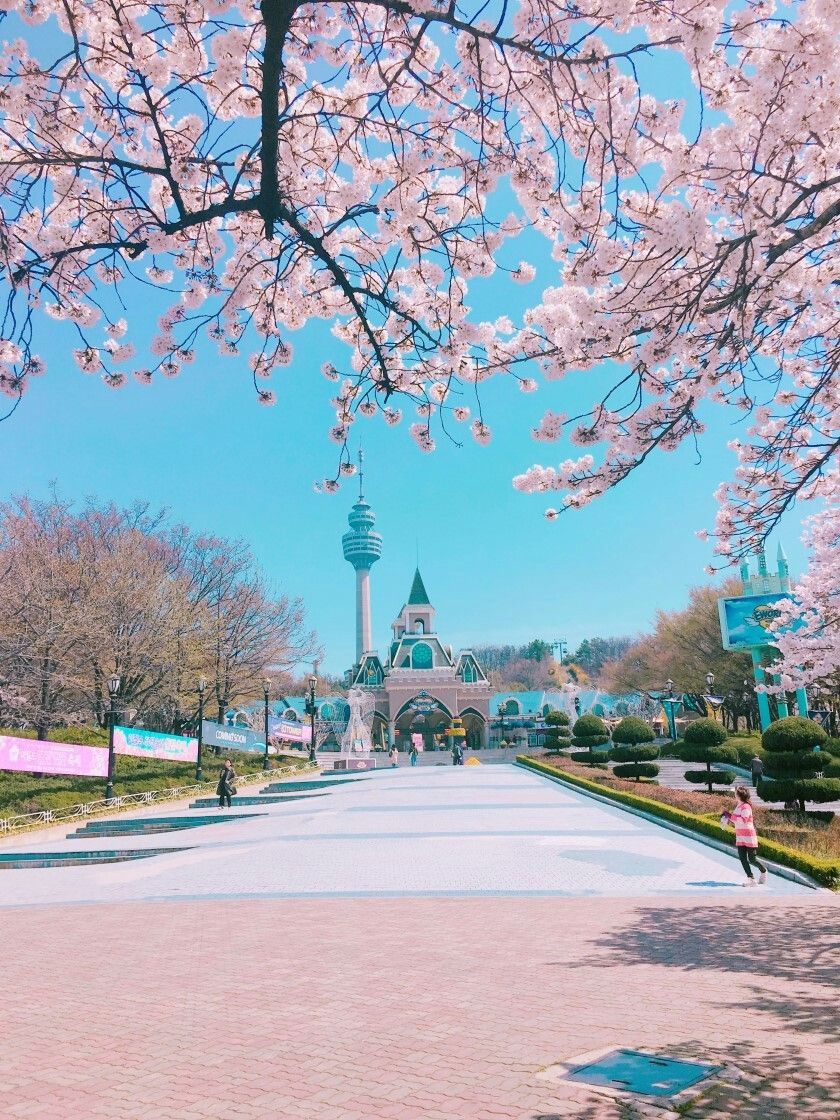 SEOUL 서울  Đô thị sầm uất bậc nhất Hàn Quốc  Zila Education