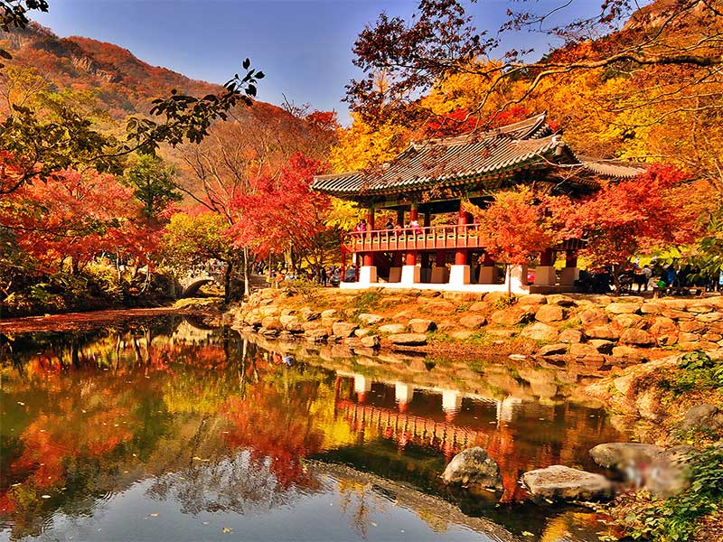 Hình ảnh mùa thu Hàn Quốc