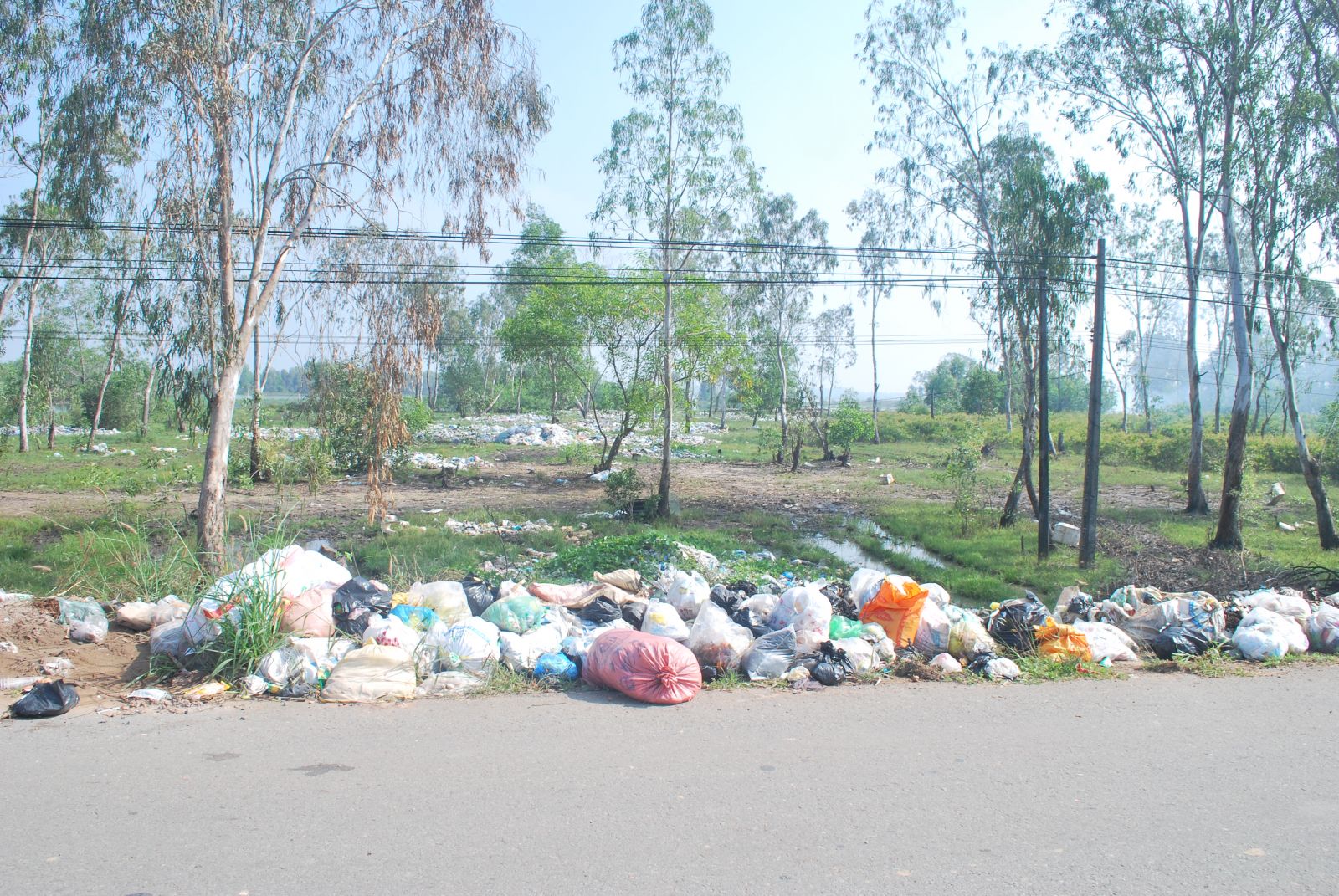 Hình ảnh vứt rác bừa bãi gây ô nhiễm môi trường