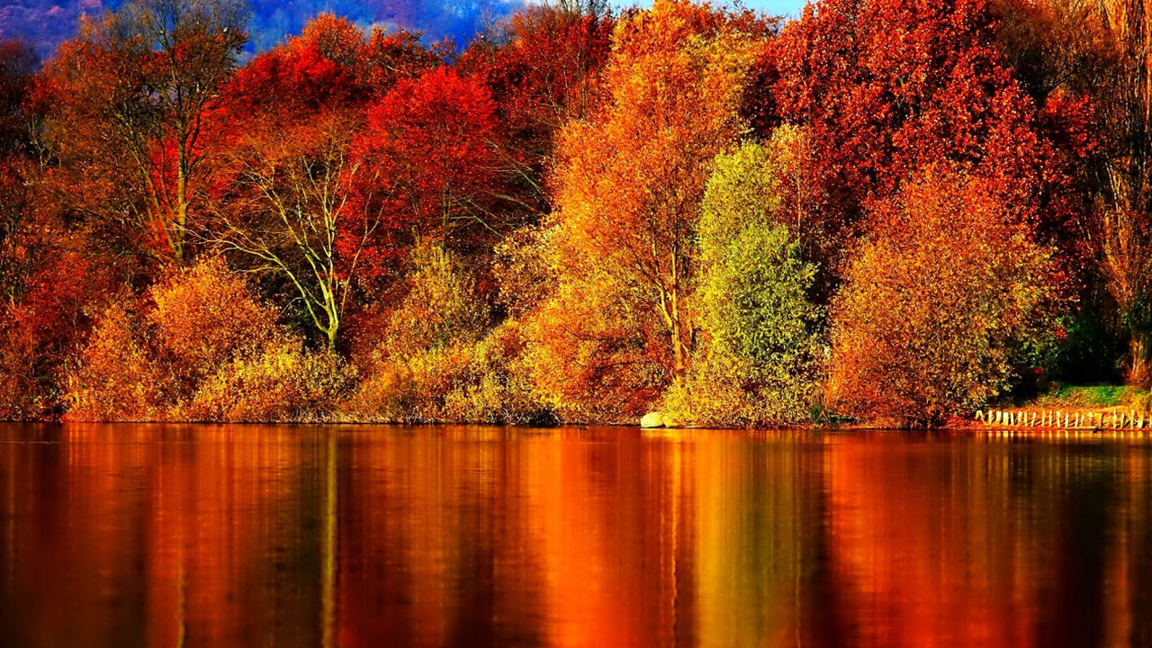 Hình ảnh nền đẹp về mùa thu