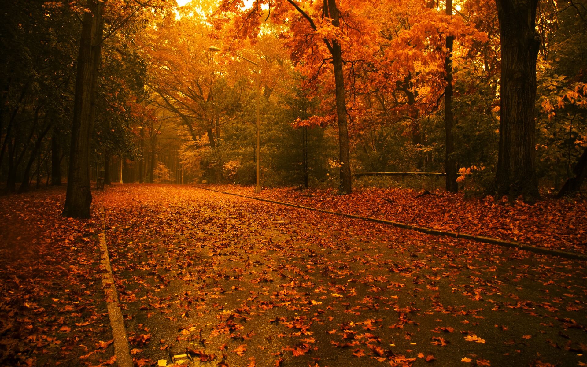 Hình ảnh nền Desktop mùa thu