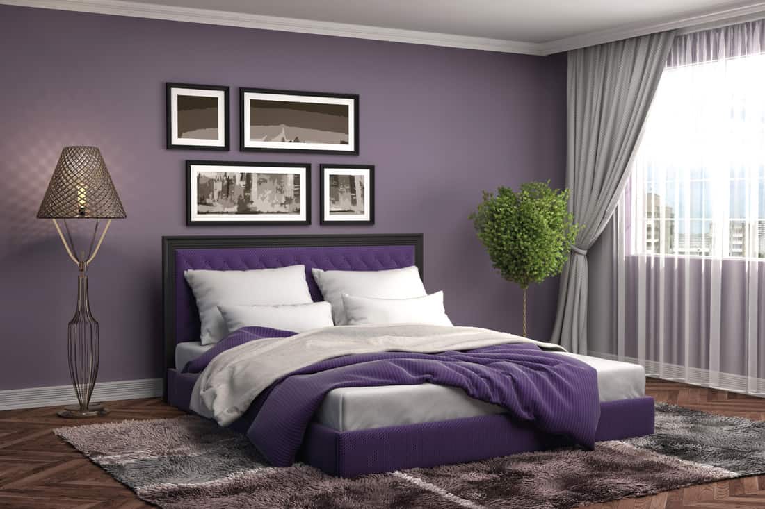 Mẫu thiết kế phòng ngủ màu tím cho người trung niên