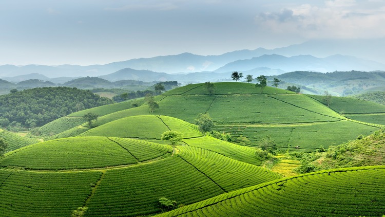 Hình nền ngọn đồi Việt Nam 4K