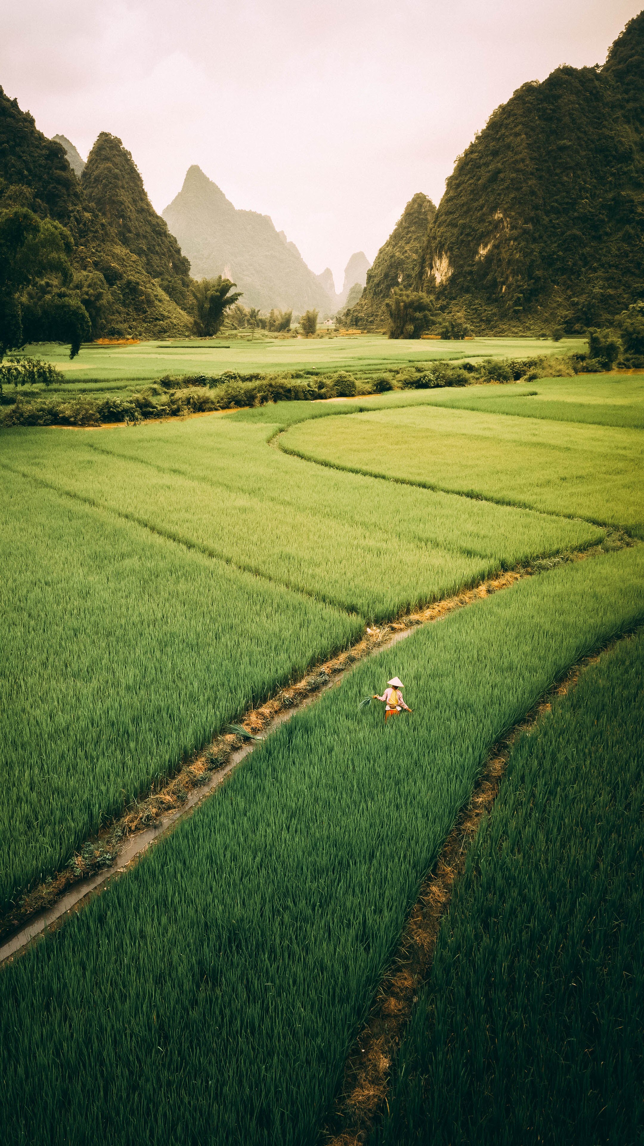 Hình nền Việt Nam 4K tuyệt đẹp  Ảnh đẹp quê hương