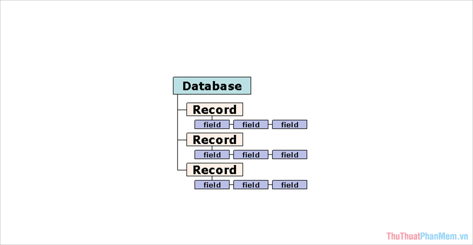 Cơ sở dữ liệu quan hệ - Database có nhiệm vụ sắp xếp dữ liệu thành các tập hợp của bản ghi cơ sở dữ liệu