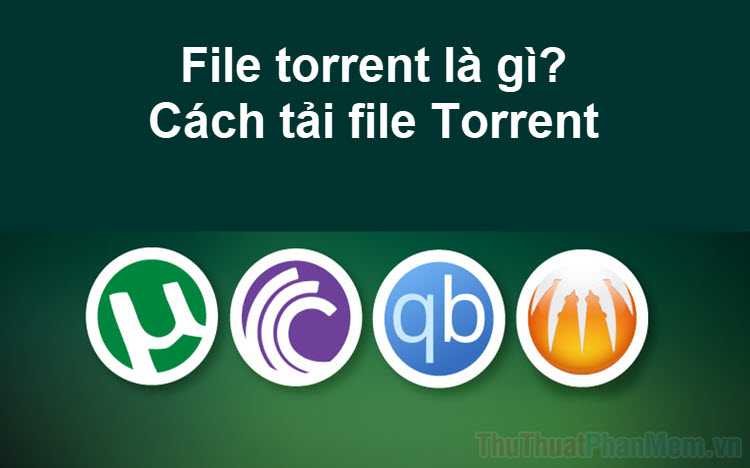 File torrent là gì Cách tải file Torrent