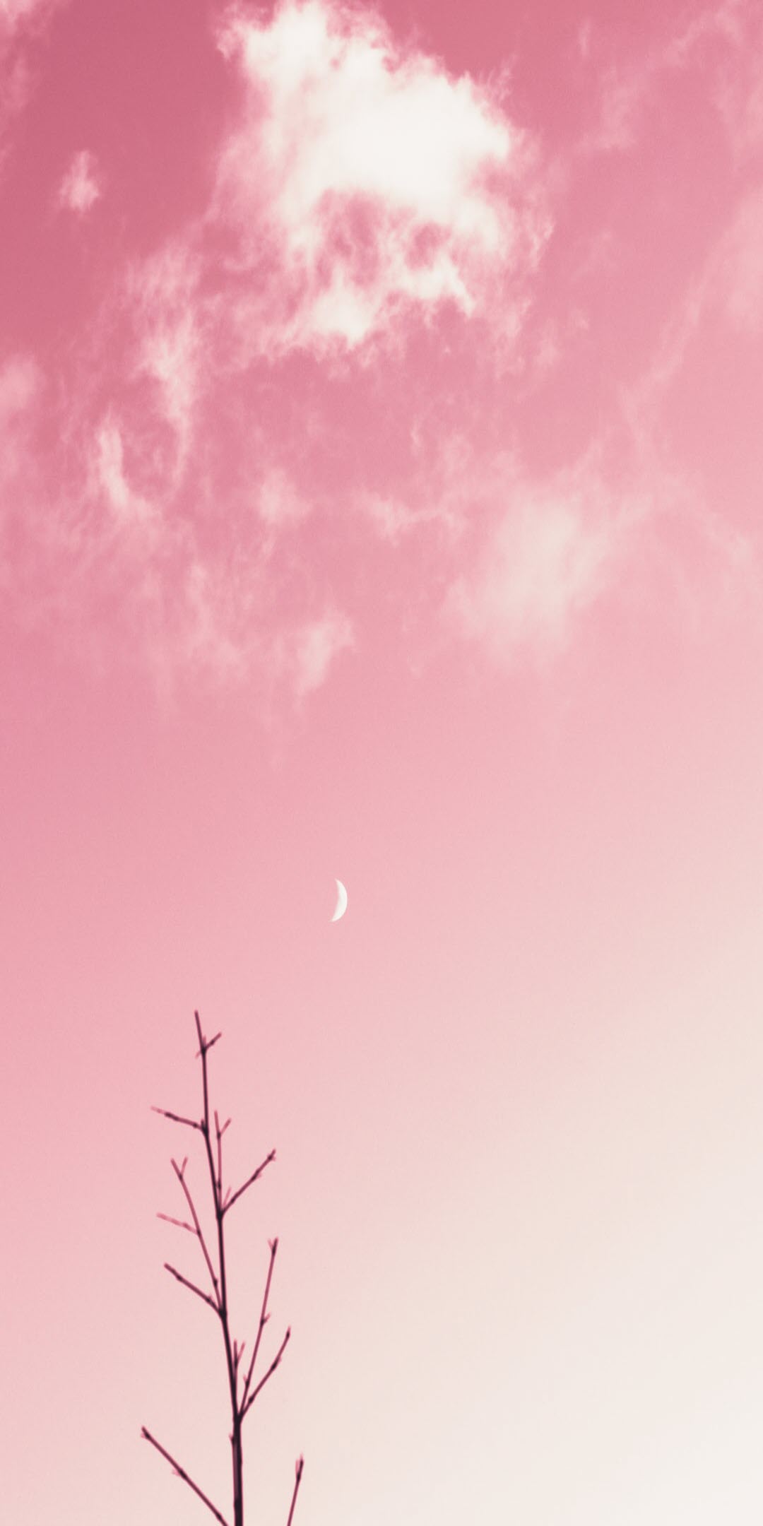 Hình nền iPhone cute màu hồng