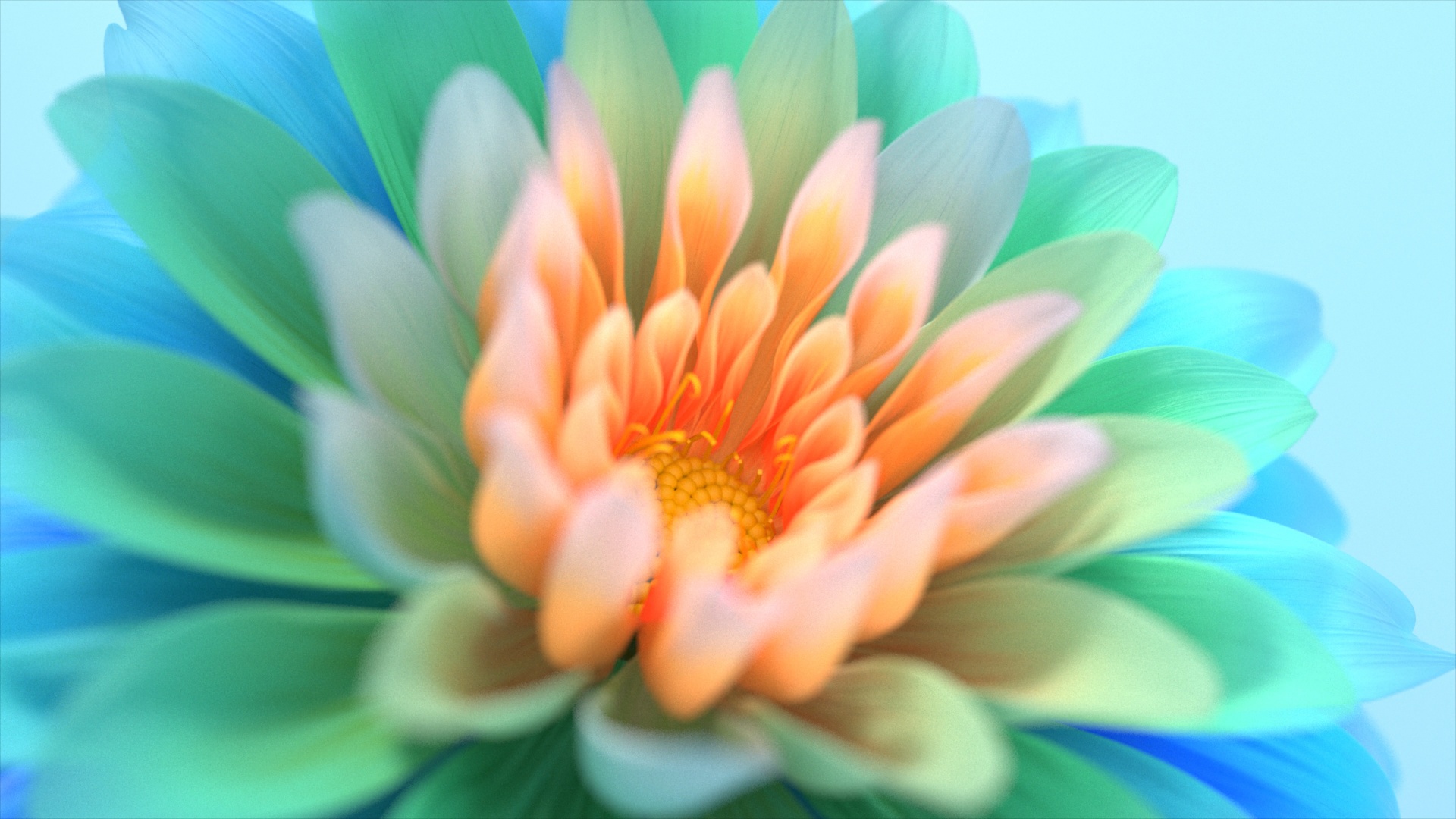 Hình nền bông hoa Full HD cho Windows 11