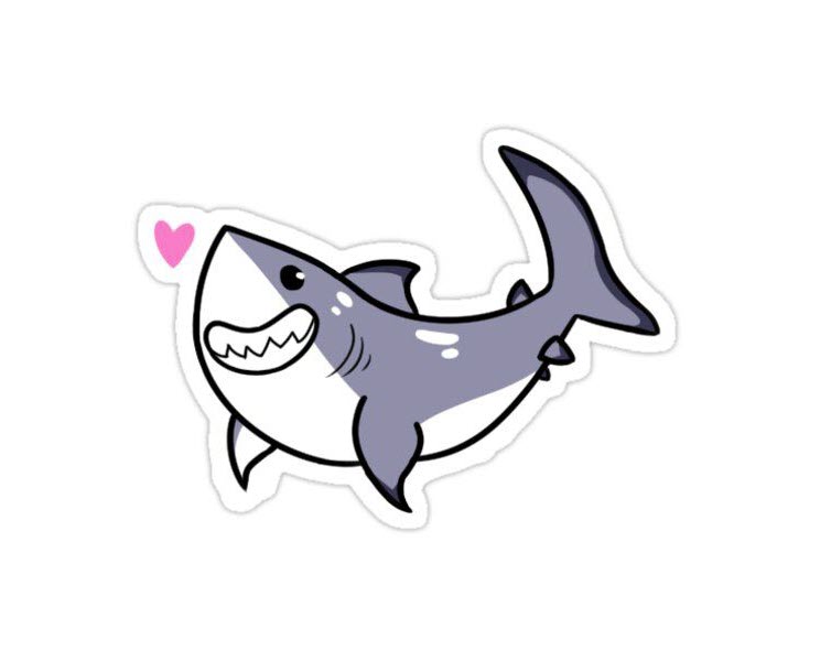 Hình ảnh cá mập cute