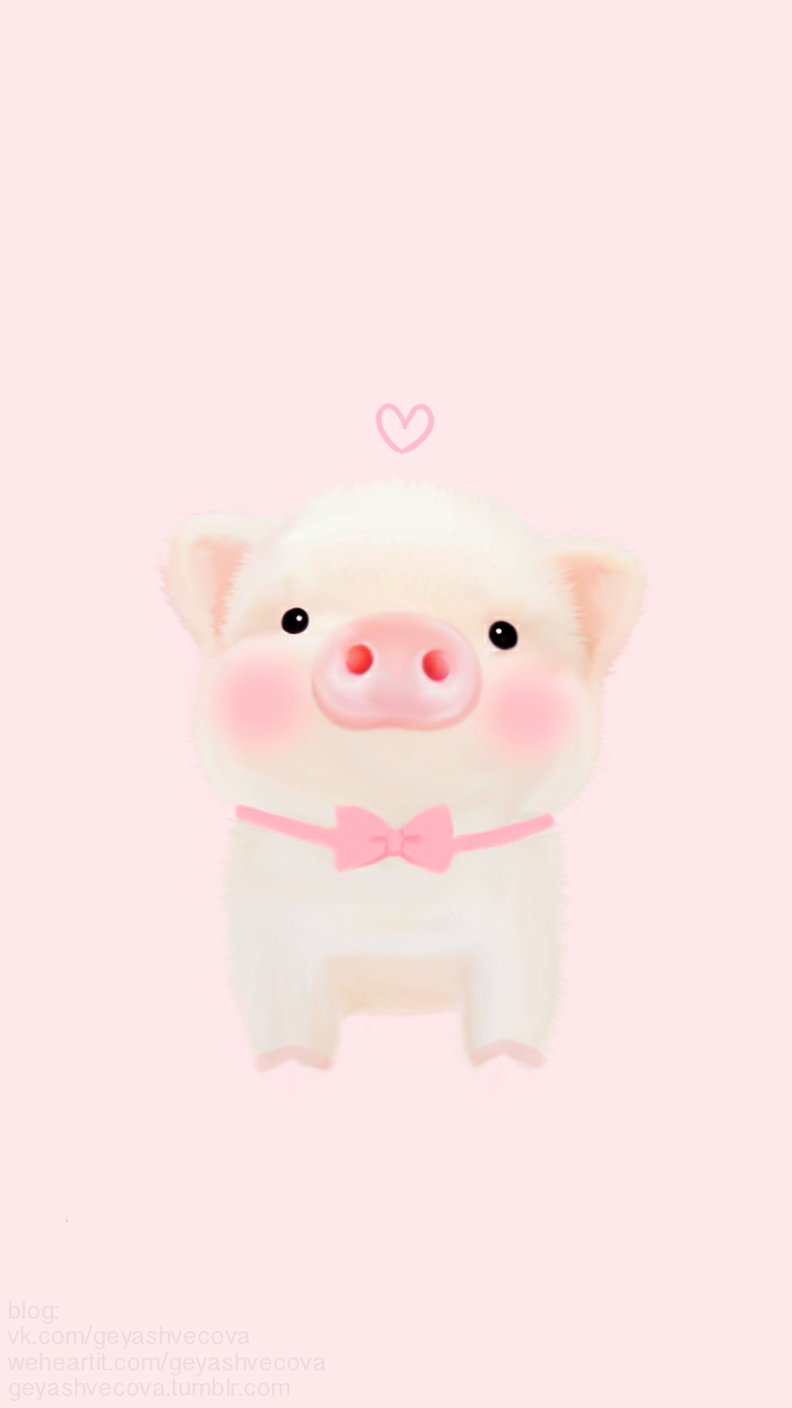 Hình nền con lợn màu hồng dễ thương