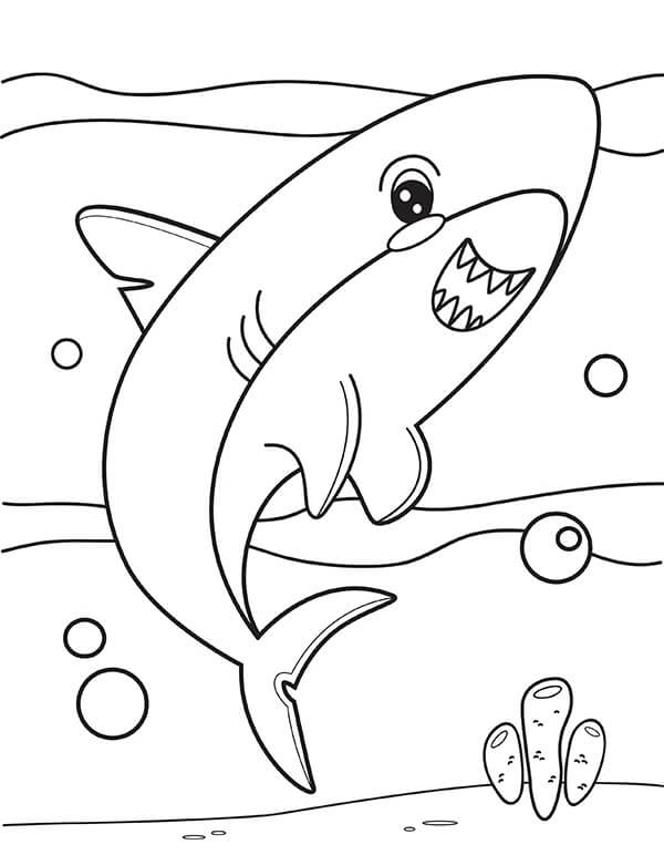 Hình vẽ cá mập chibi dễ dàng thương