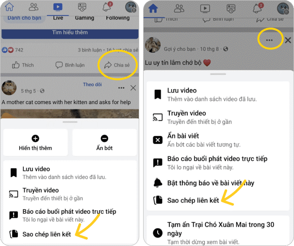Cách tải video từ Facebook mà không cần ứng dụng