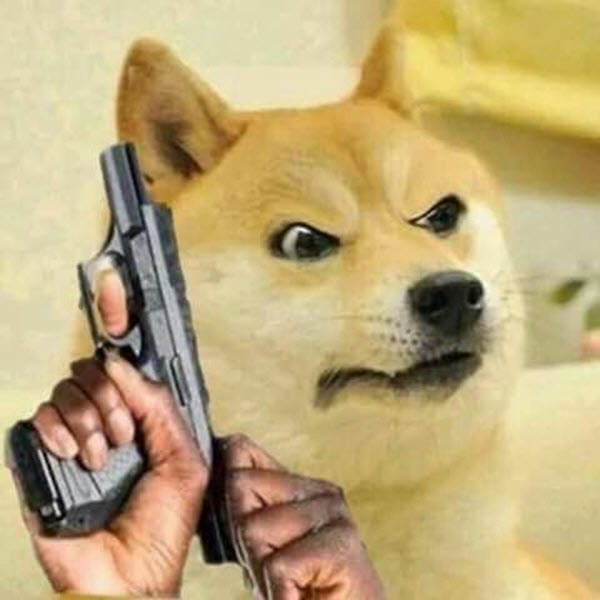Hình ảnh meme chó cầm súng hài hước