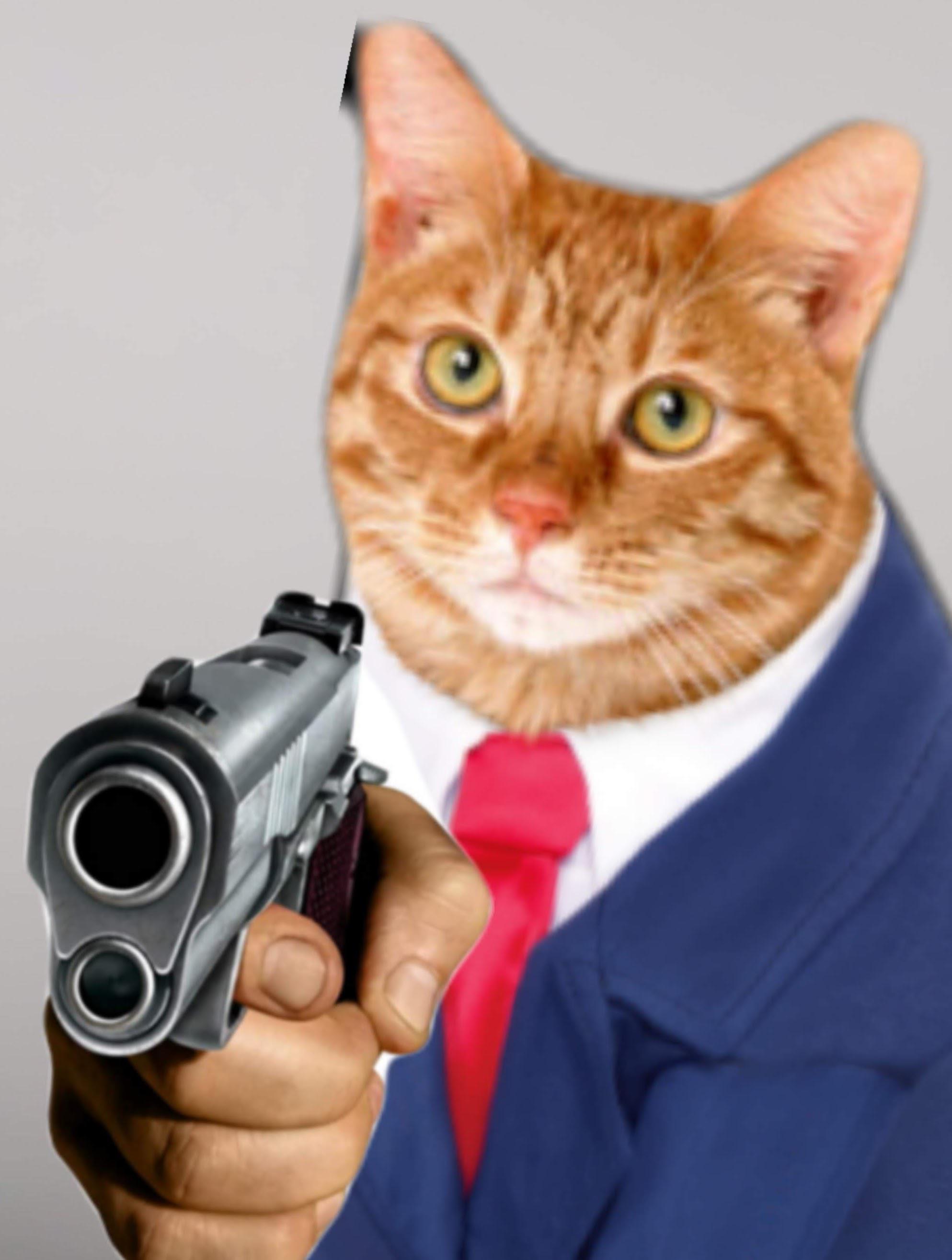 Hình ảnh meme mèo cầm súng hài hước