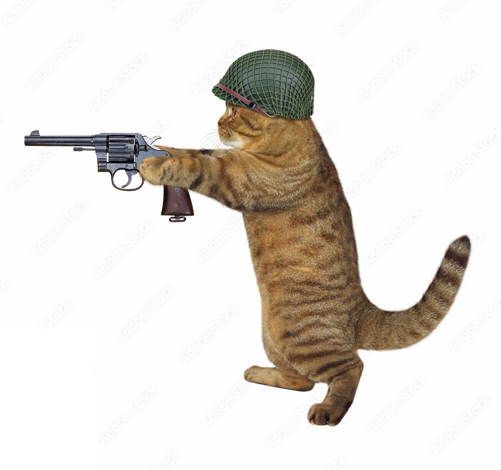Hình ảnh mèo cầm súng hài hước