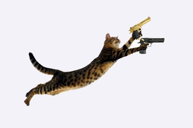Hình meme mèo cầm súng