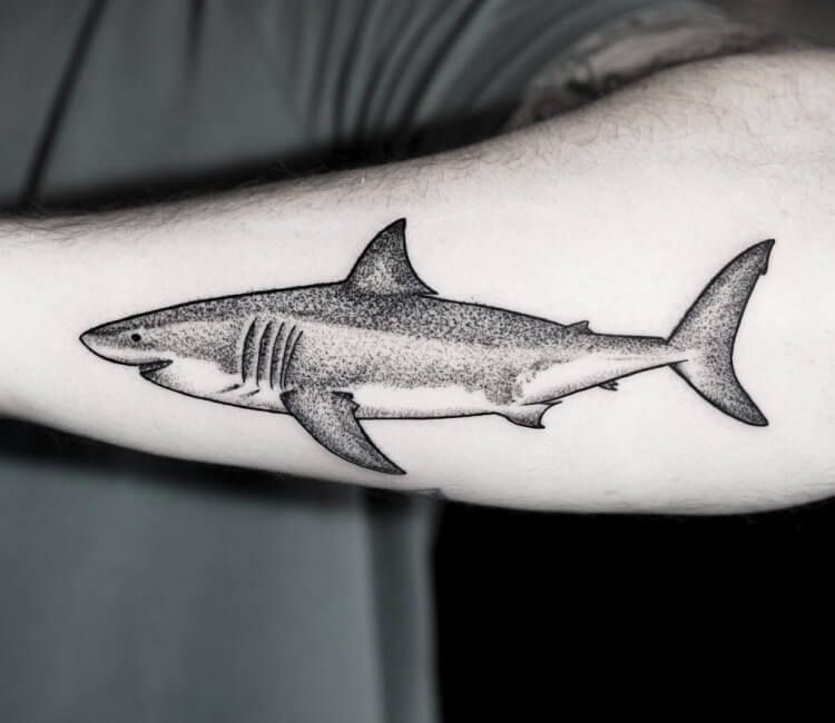 Hình xăm cá mập ở cánh tay đẹp