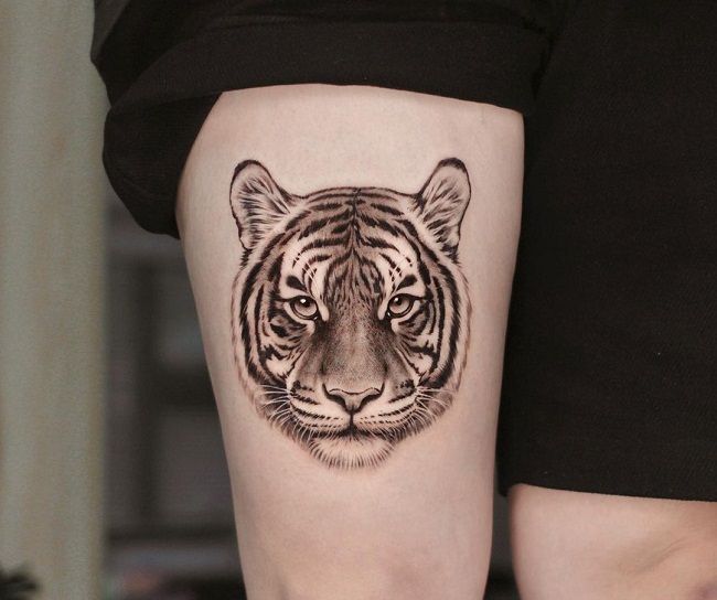 Hình xăm con hổ nhỏ đẹp