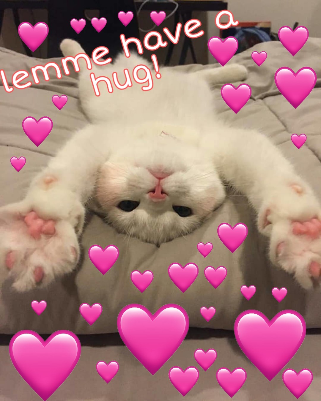 Meme ảnh mèo cute trái tim