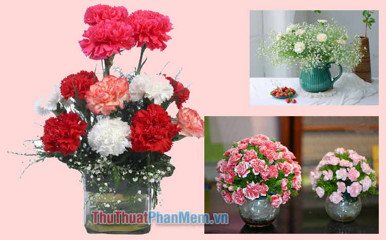 Cách cắm hoa cẩm chướng để bàn đơn giản mà đẹp, hiện đại