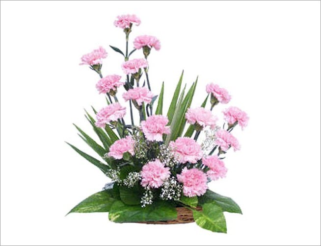 Cách cắm hoa cẩm chướng để bàn đơn giản