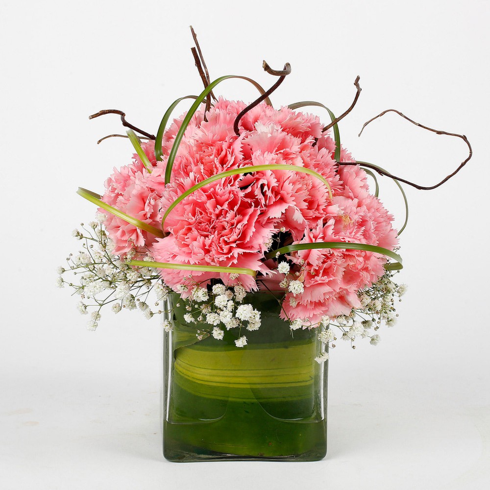 Cách cắm hoa cẩm chướng đẹp hiện đại