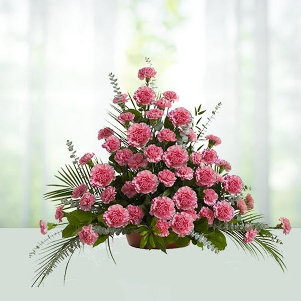 Cách cắm hoa cẩm chướng đơn giản đẹp