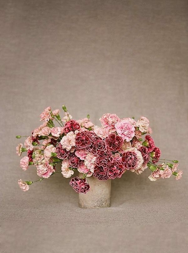 Cách cắm hoa cẩm chướng đơn giản mà đẹp