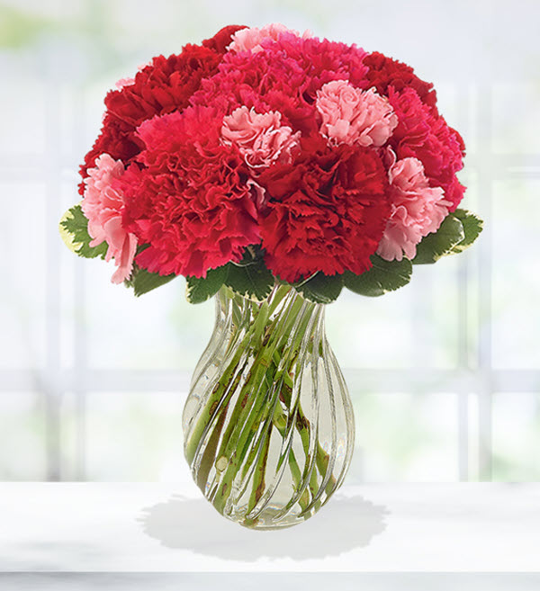 Cách cắm hoa cẩm chướng đơn giản