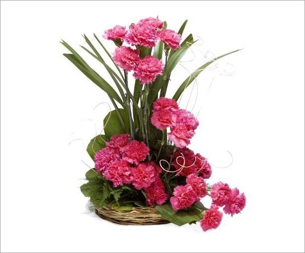 Cách cắm hoa cẩm chướng hồng đẹp tinh tế