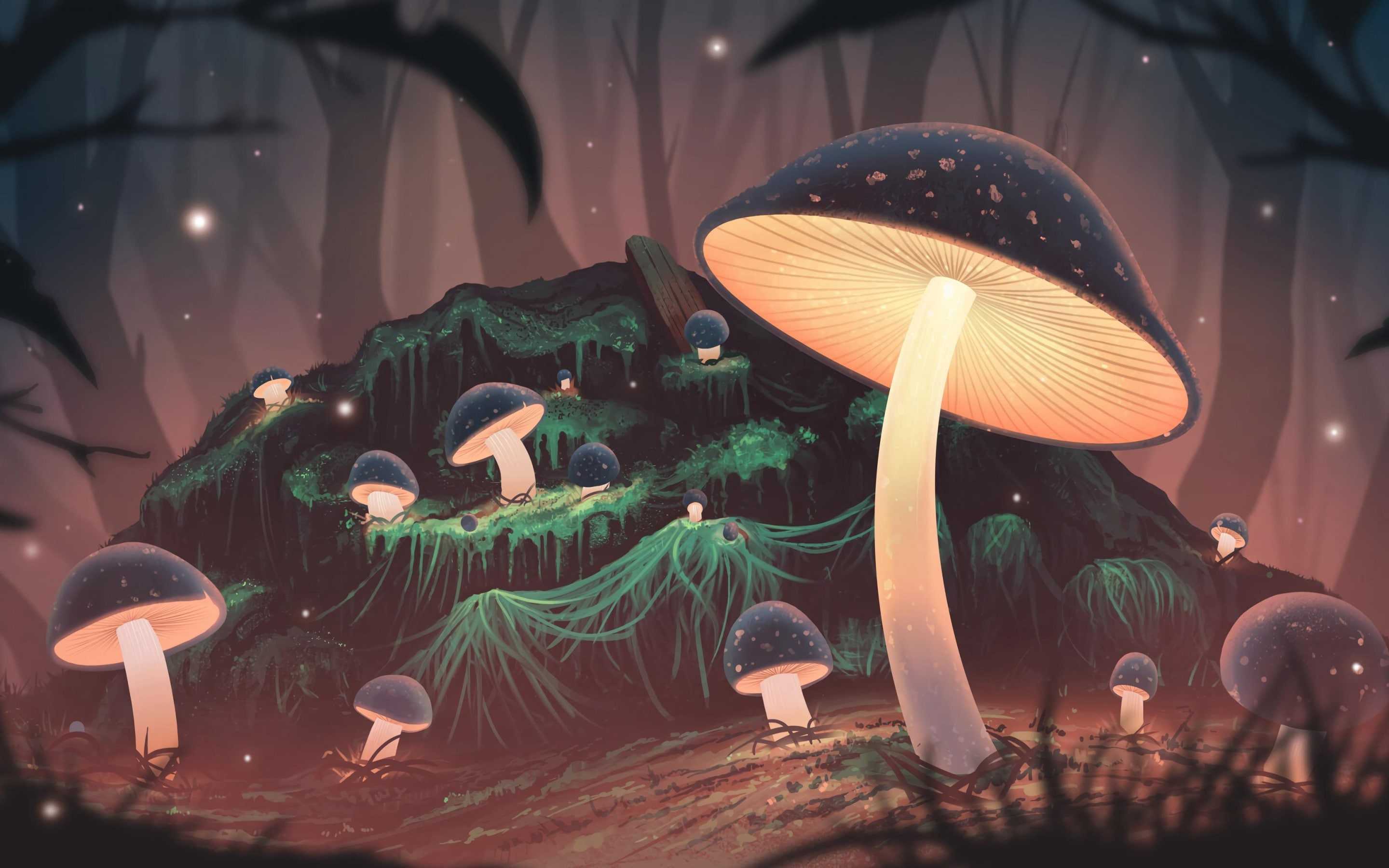 Hình nền 3D khu rừng bí ẩn tuyệt đẹp