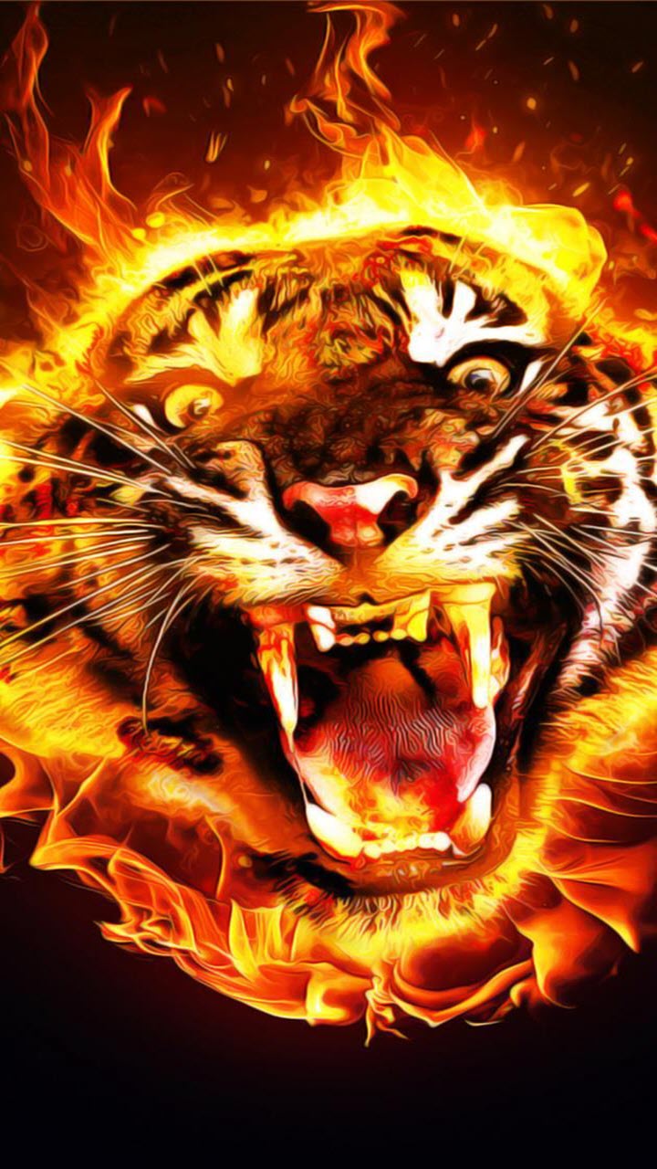 Hình nền con hổ ngọn lửa Núi lửa Dung nham Cháy rừng Ảnh chụp màn hình 1920x1080 px Hình nền máy tính Hiện tượng địa chất 1920x1080 wallup 538746 