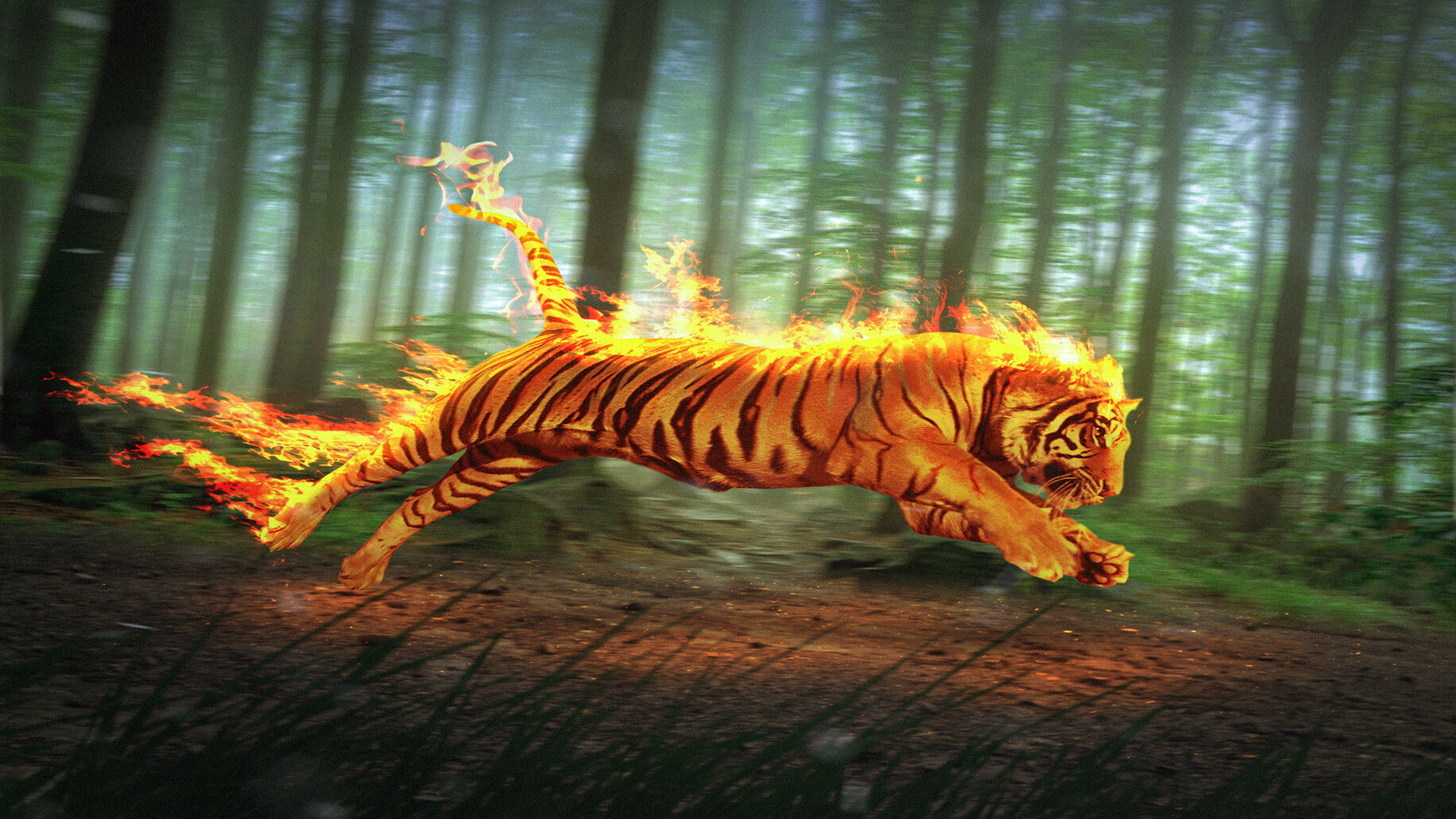 Con hổ lửa đẹp