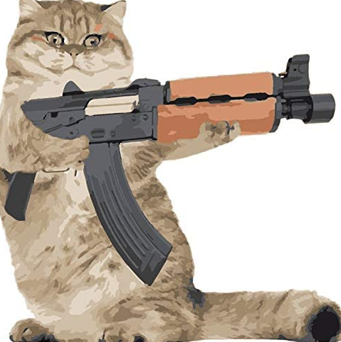 Hình ảnh mèo cầm súng