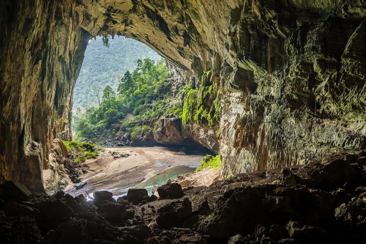 Hình ảnh kho báu Vong khủng long trong hang Sơn Đoòng